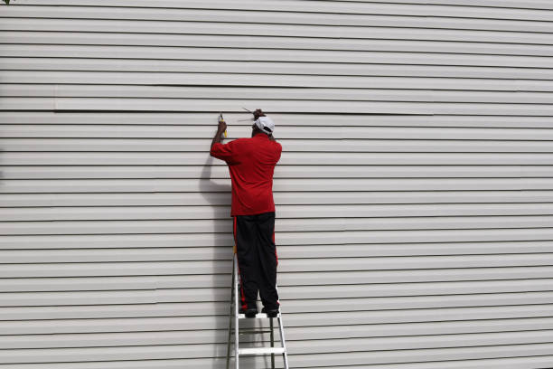 Best Residential Vinyl Siding Installation  in Palo Cedro, CA