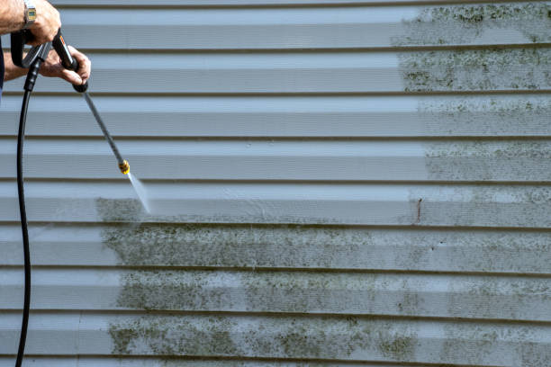 Best Siding for Commercial Buildings  in Palo Cedro, CA